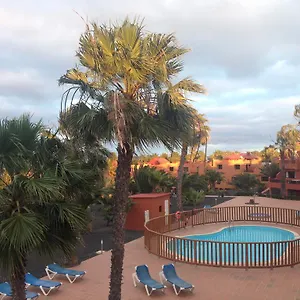  Apartment Oasis Royal Spain